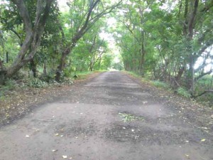 road to sarola