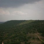 सारोळा वनपर्यटन 4