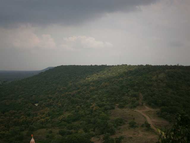 सारोळा वनपर्यटन 4