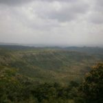 सारोळा वनपर्यटन 5