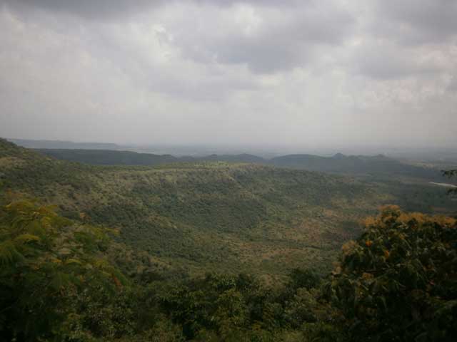 सारोळा वनपर्यटन 5