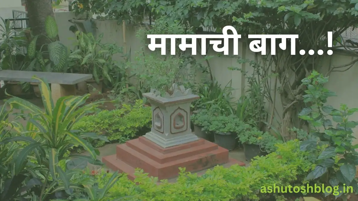 मामाची बाग